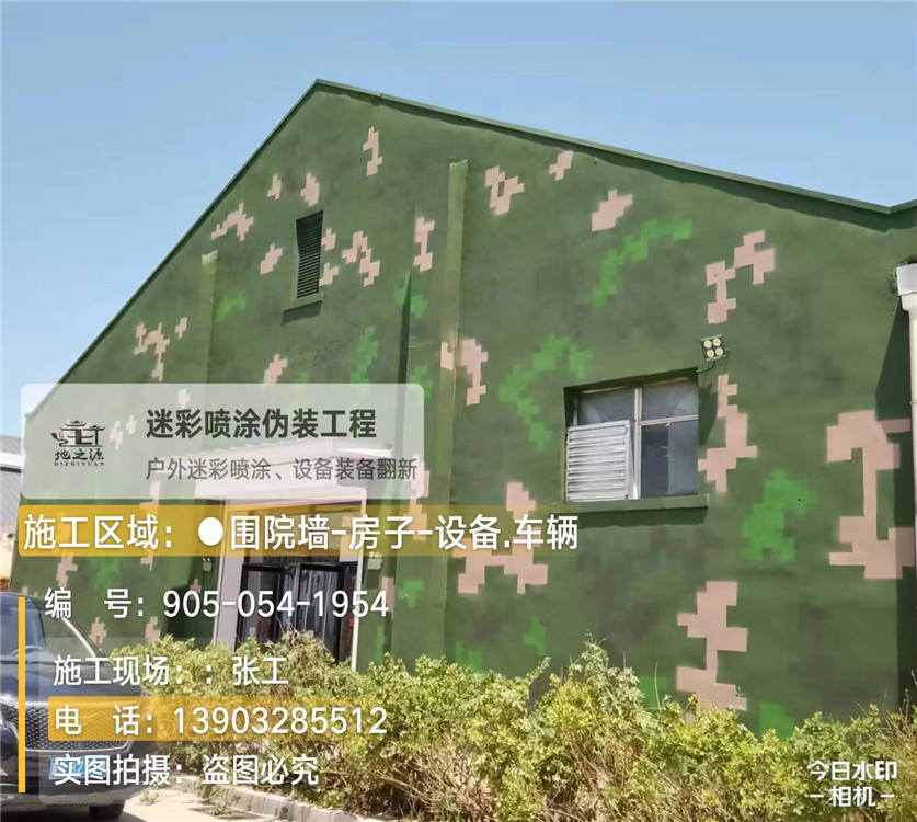 德宏外墙数码迷彩漆施工报价清单（100㎡标准墙面测算）